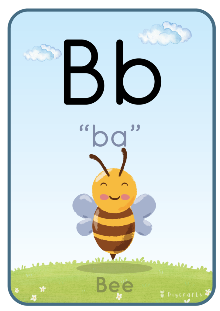 flash cards 2